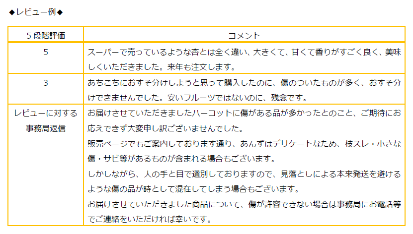WEBレビュー.bmp