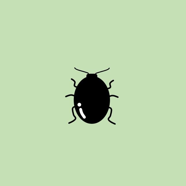 ハクサイ・キャベツなどの葉を食べる黒い虫の正体？