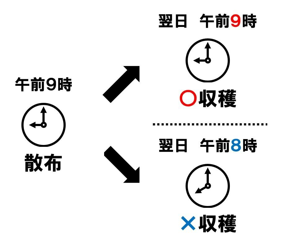 農薬に表記のある使用時期の「前日まで」っていつまで？