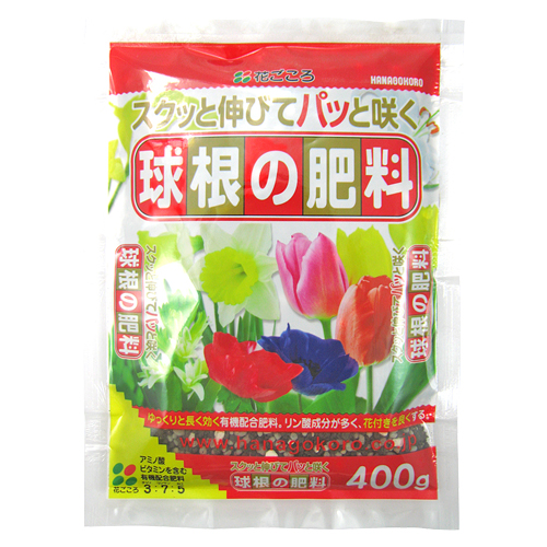 球根の肥料