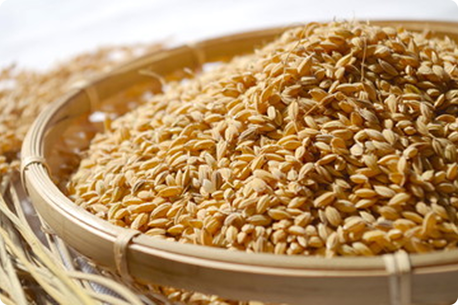 products-rice-image1