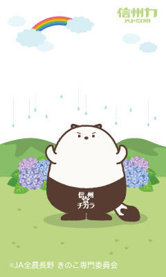 携帯用待ち受け