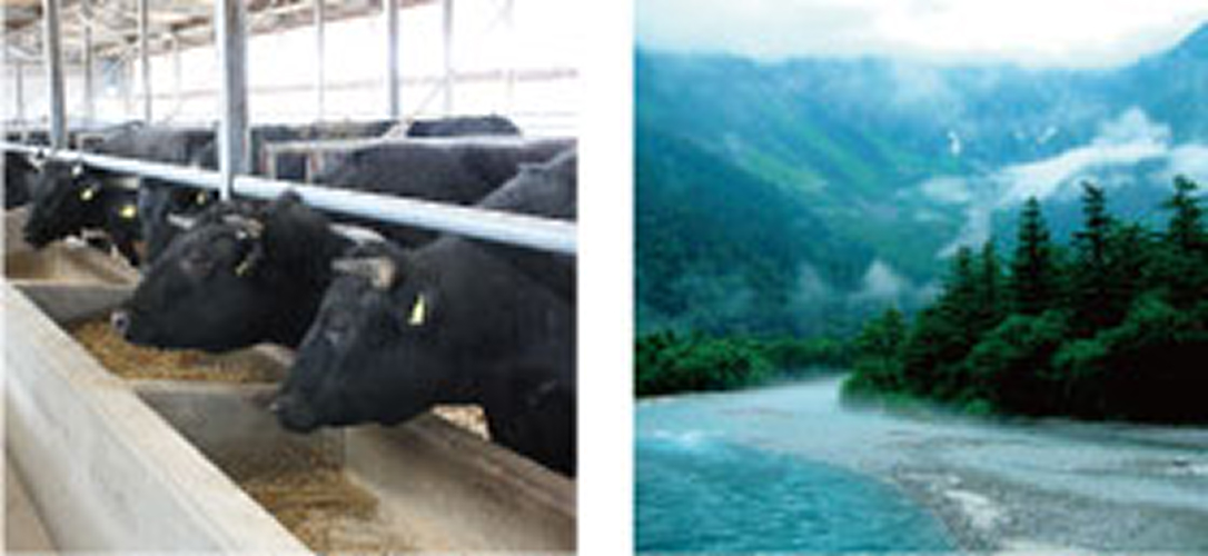 products-meat-shinshu-premium-beef-image2