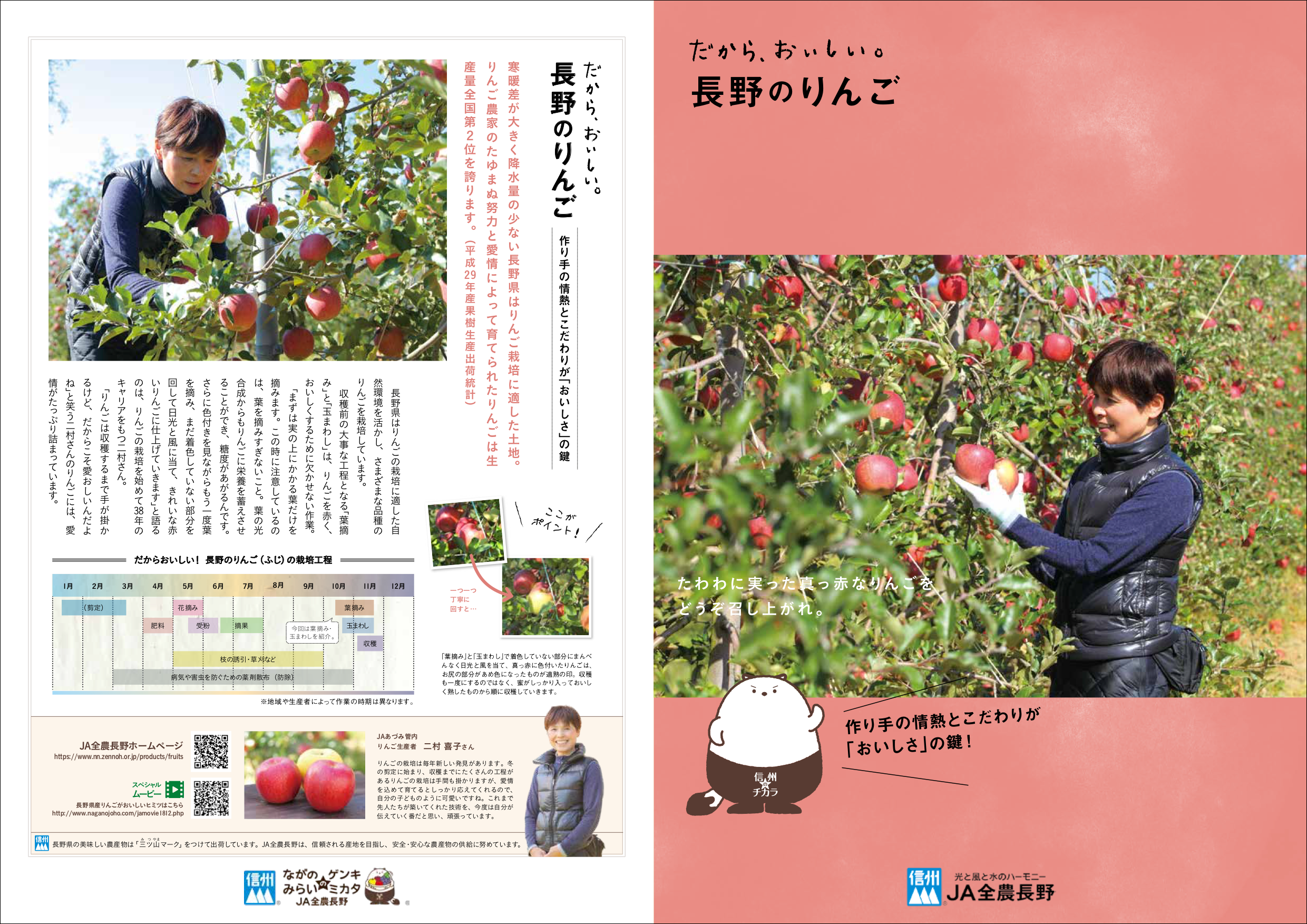 だから、おいしい。長野のりんご