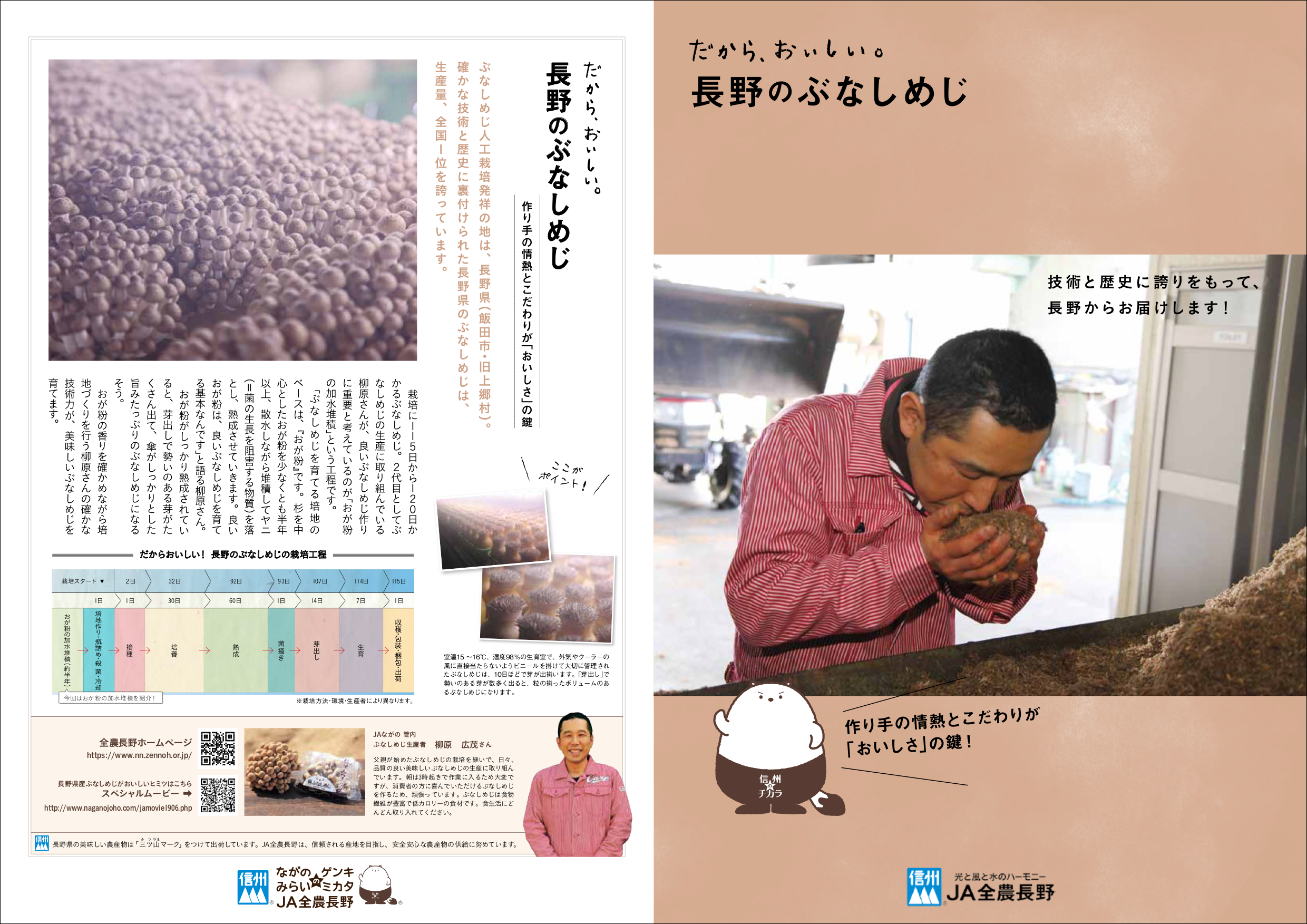 だから、おいしい。長野のぶなしめじ