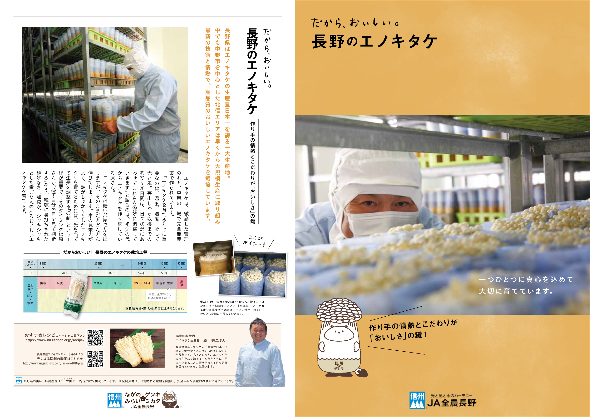 だから、おいしい。長野のエノキタケ