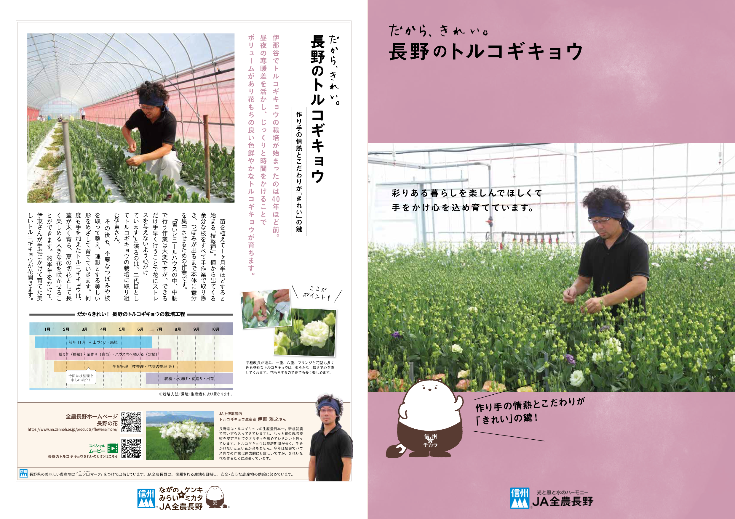 だから、きれい。長野のトルコギキョウ