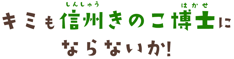 キミも信州きのこ博士にならないか！
